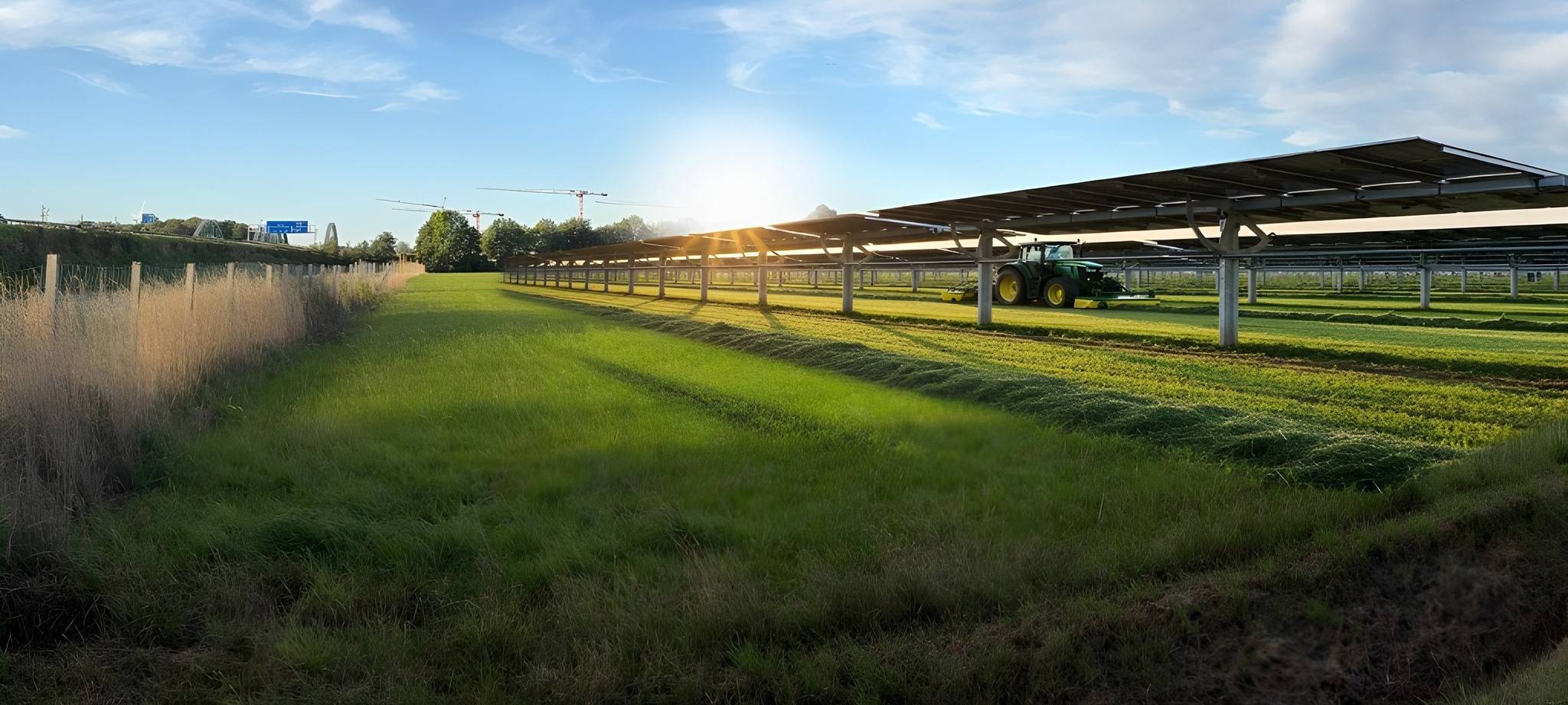 Visualisierungen des Agri-Solarparks.