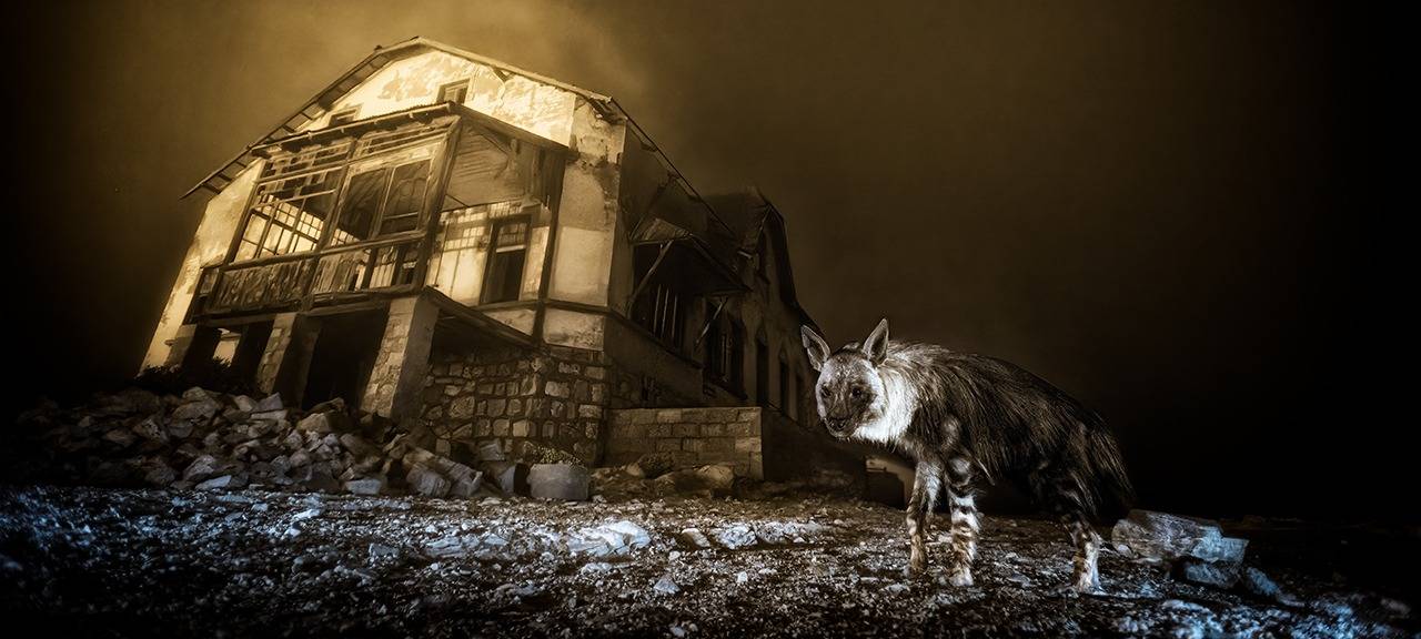 Die schönsten Naturfotos