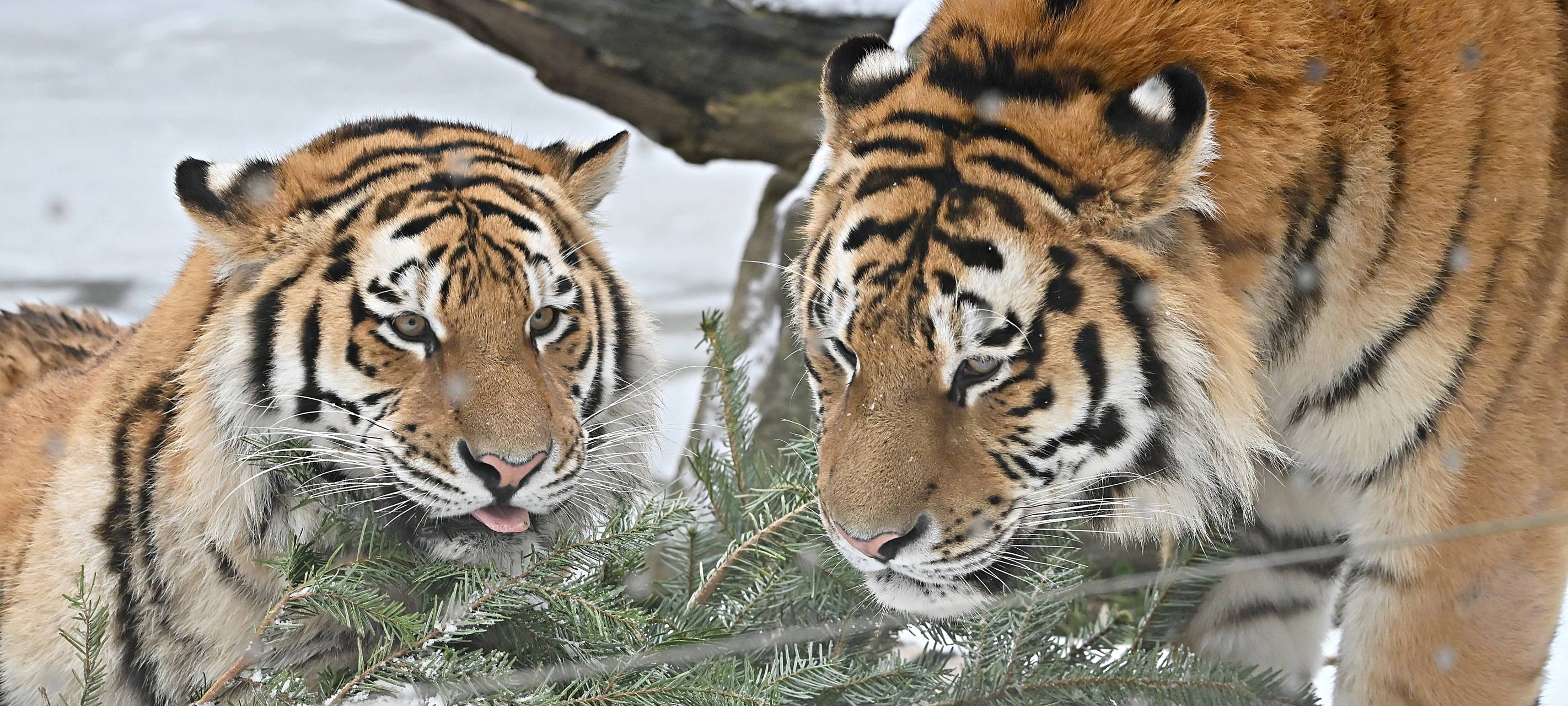 Der ANTENNE MÜNSTER-Newsticker