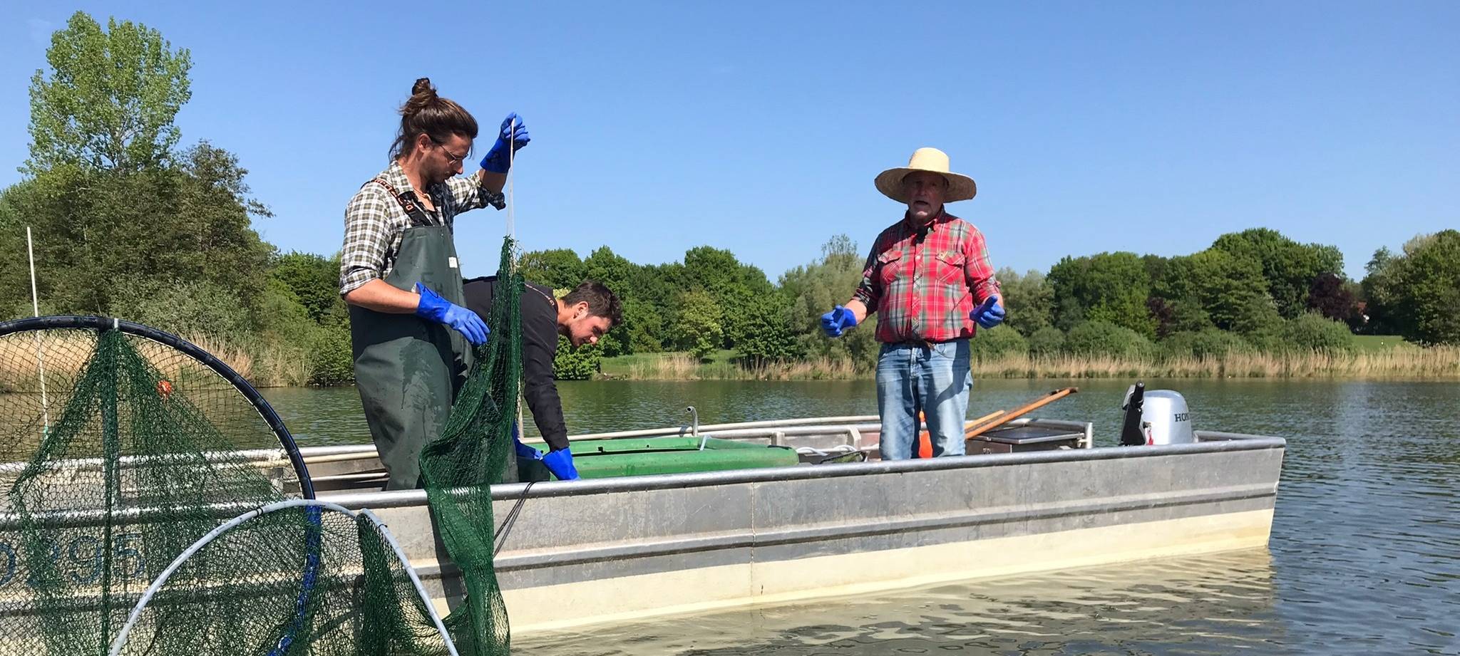 Die Stadt lässt - wie hier im Jahr 2022 - wieder Weißfische aus dem Aasee entnehmen.