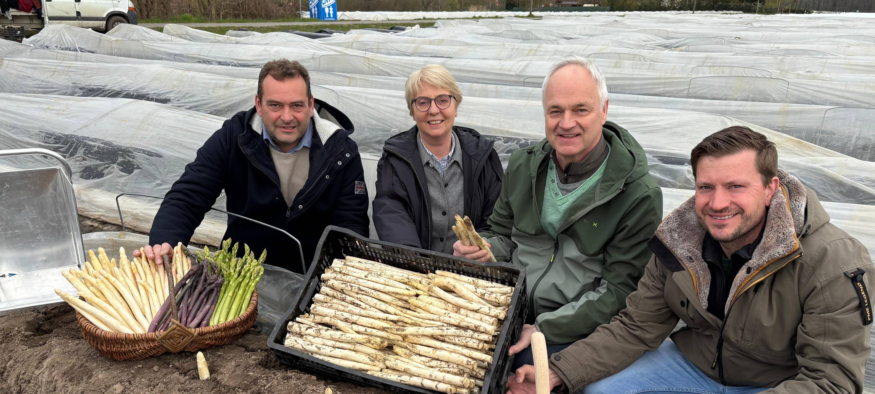 Die Spargelsaison beginnt!